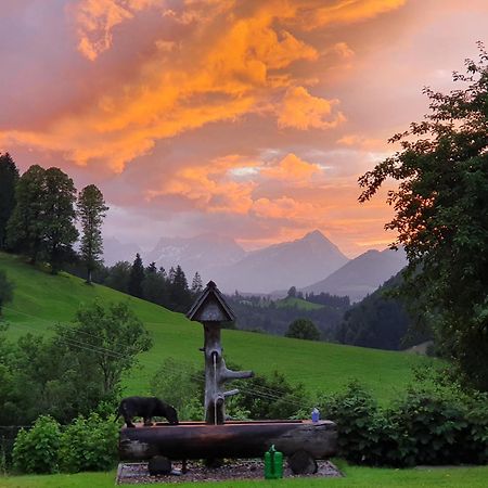 Biobauernhof Schoettelbauer Rosenau am Hengstpass Esterno foto