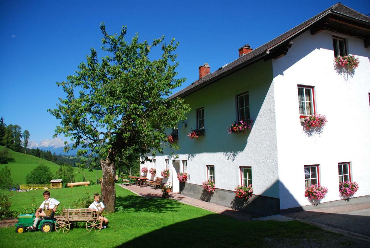 Biobauernhof Schoettelbauer Rosenau am Hengstpass Esterno foto