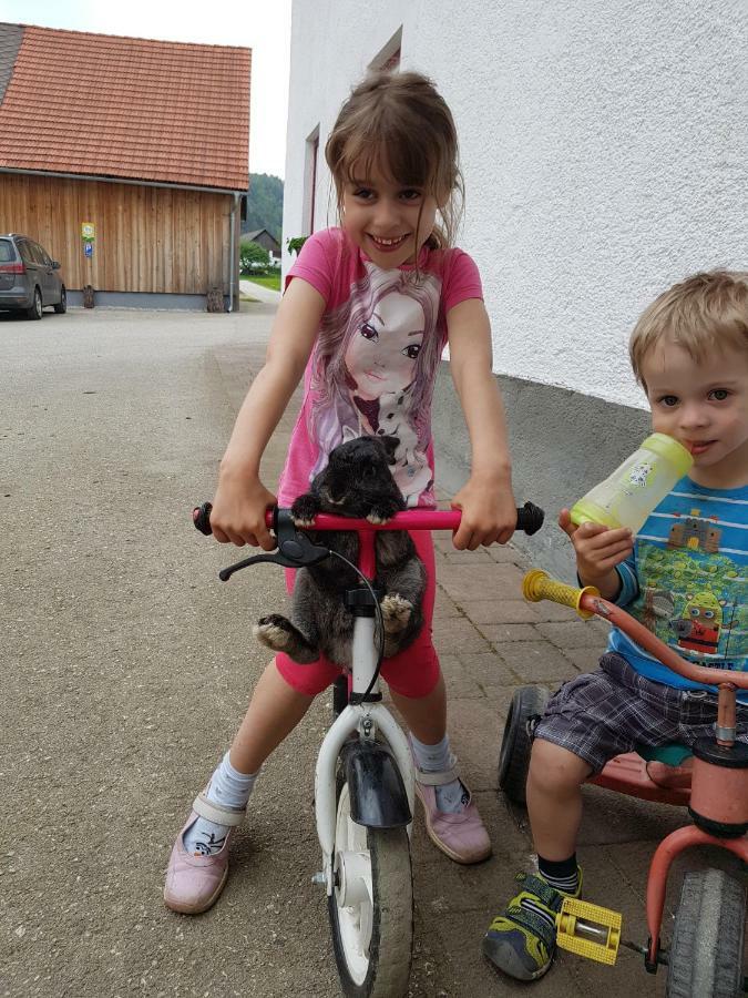 Biobauernhof Schoettelbauer Rosenau am Hengstpass Esterno foto