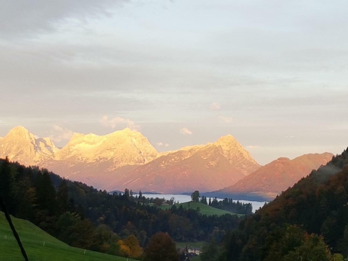Biobauernhof Schoettelbauer Rosenau am Hengstpass Esterno foto