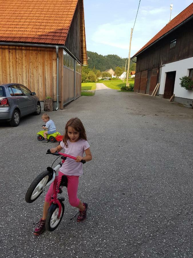 Biobauernhof Schoettelbauer Rosenau am Hengstpass Esterno foto